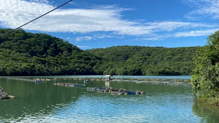 Lancha fica presa em gaiolas de peixes e homem desaparece ao mergulhar para soltar motor em represa de MG