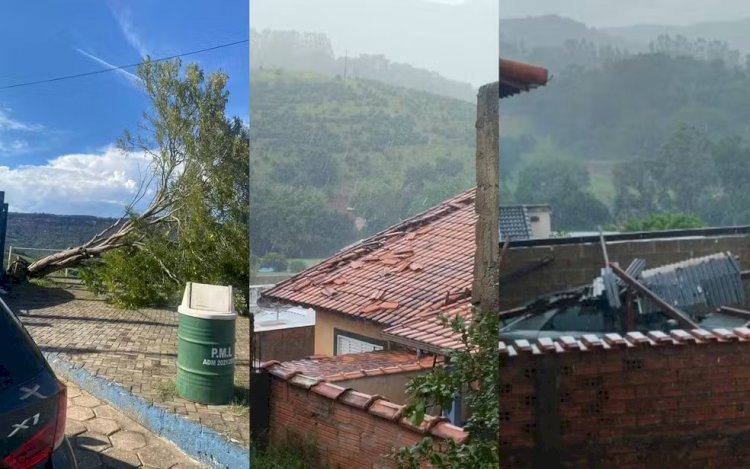 Tempestade com granizo e ventos derruba árvores e causa transtornos em Lambari, MG