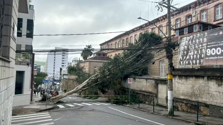 Com ventos de quase 100 km/h, temporal em Juiz de Fora provocou quedas de árvores e deixou bairros sem luz; veja ruas interditadas