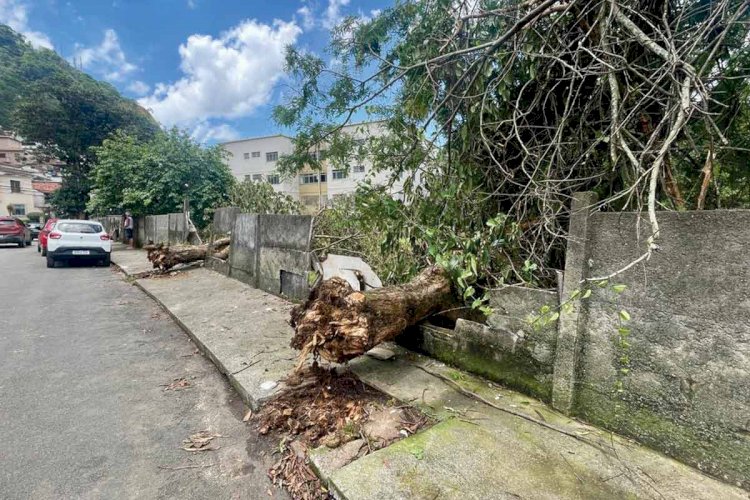 Vendaval registrado em Juiz de Fora é o segundo maior em 35 anos