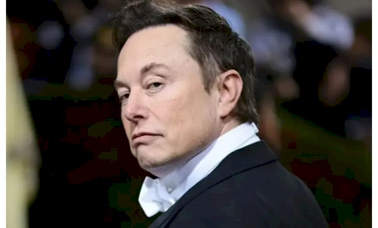 Site inglês explica por que Liverpool e Elon Musk seria 'match perfeito'