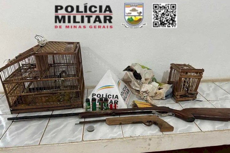 Polícia apreende bico de tucano e aves silvestres em propriedade no interior de Minas