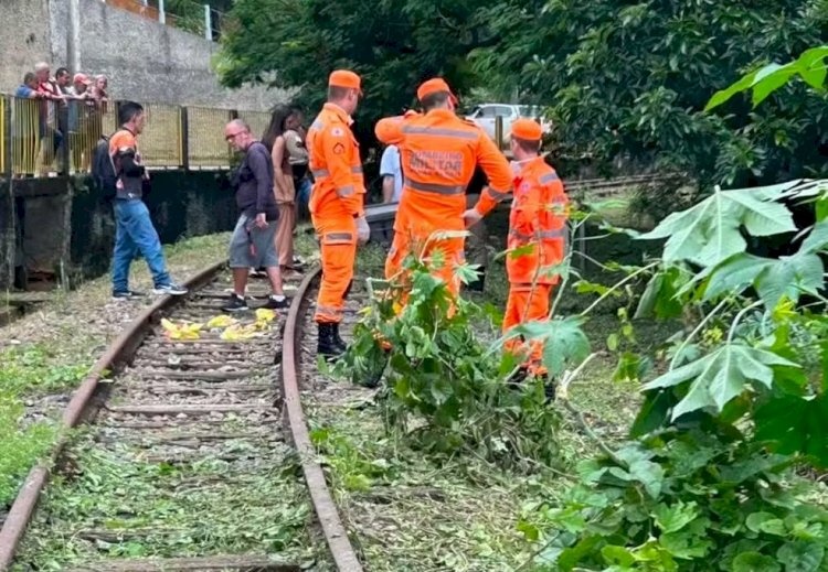 Corpo de homem desaparecido é encontrado em linha de trem desativada em Cataguases