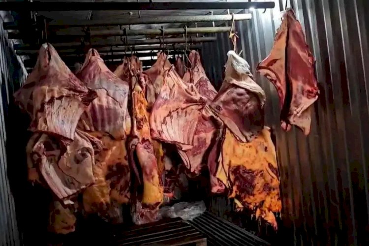 Empresa de Três Rios revendia carne que ficou submersa durante enchentes no Rio Grande do Sul