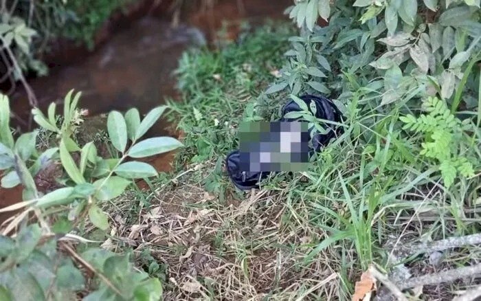 Corpo de bebê é encontrado dentro de mochila abandonada às margens de córrego