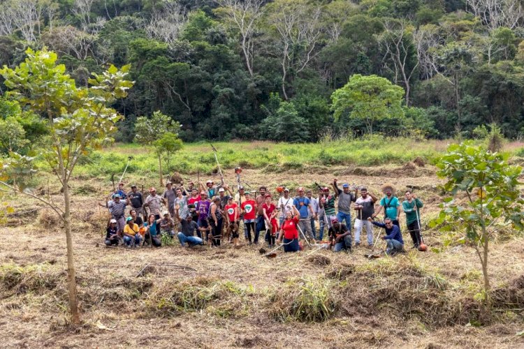 Plantio Solidário realiza mutirão para plantio e doação de alimentos em Juiz de Fora