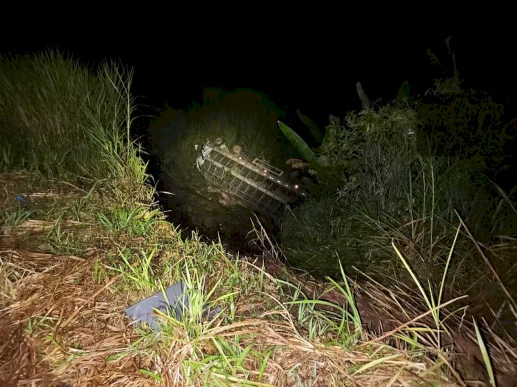 Caminhão com porcos cai em ribanceira de 15 metros após motorista cochilar na BR-267