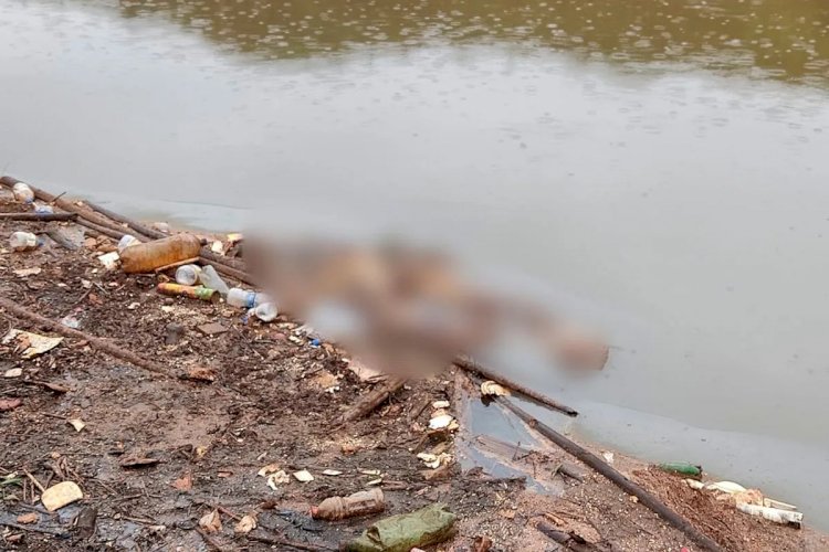 Corpo em estado avançado de decomposição é encontrado em Juiz de Fora
