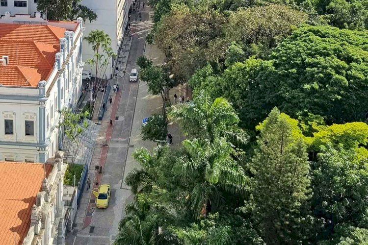 ‘Sinfonia de um lugar’: filme será gravado no Parque Halfeld com participação popular