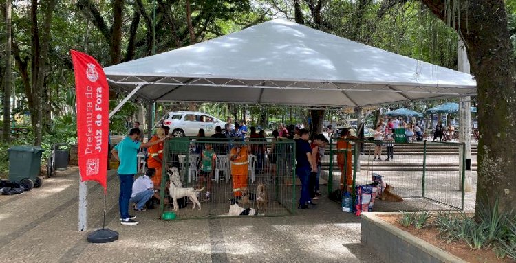 Prefeitura realiza mais um evento de adoção do Canil Municipal no Parque Halfeld neste sábado, 7